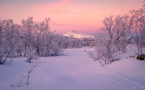 Winterlandscape in January light | Reidar Trekkvold | Flickr Winter Wonderland, Norway