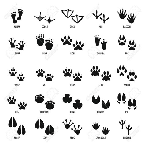 Animal Footprint Icons Set, Simple Style Royalty Free Cliparts, Vectors, And Stock Illustration. Image 90869178. Animal Footprints, Zestaw Ikon, Illustration Simple, Animal Tracks, Animal Icon, Animal Doodles, Simple Illustration, Banner Printing, Icon Set