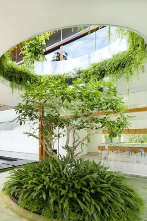 Small Landscaping, Garden Concept, Tropical Garden Ideas, Florida Landscaping, Willow House, Covered Garden, Young Couple, Hanging Garden, Tropical Landscaping