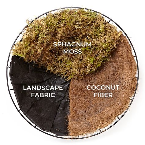 Check out the difference between 3 common hanging basket liners #HangingBaskets #PatioGarden #GardenGateMagazine Moss Hanging Baskets, Hanging Basket Liners Diy, Hanging Pots For Plants, Planted Containers, Window Shelves For Plants, Hanging Baskets Diy, Garden Baskets, Moss Landscape, Planter Liners