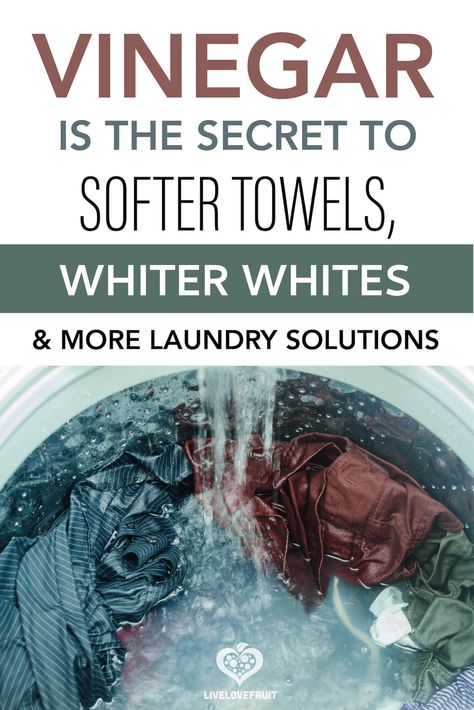 Using vinegar in the laundry in replacement of traditional harsh chemical softeners will naturally whiten, soften, brighten, and reduce odor. #laundry #vinegar #fabricsoftener #vinegarinlaundry #vinegarlaundryodor #vinegarlaundryuses Natural Antidiarrheal, Laundry Vinegar, Whiter Whites, Vinegar In Laundry, Laundry Help, Homemade Cleaning Supplies, Homemade Cleaners, Laundry Solutions, Laundry Tips