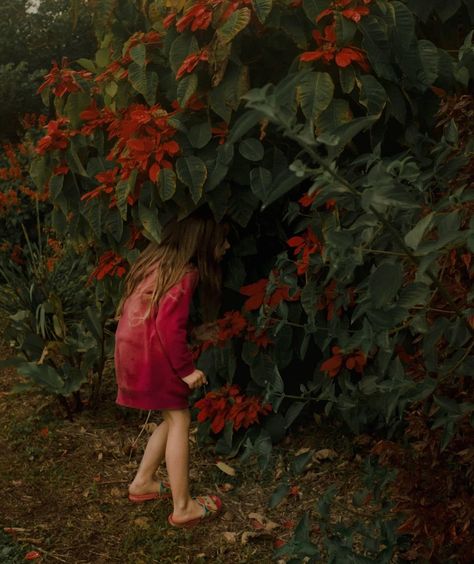 Lisa Sorgini, Color Stories, Weekend Getaway, Changing Seasons, Weekend Getaways, Poinsettia, Family Portraits, New Work, Belgium