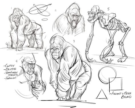 ArtStation - Gorillas, Josh Black Monkey Anatomy Drawing, Gorilla Drawing Reference, Gorilla Cartoon Drawing, Gorilla Concept Art, How To Draw Monkey, Gorilla Art Drawing, Gorilla Drawing Sketches, Gorilla Reference, Gorilla Anatomy