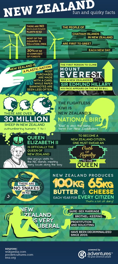 Fun and Quirky Facts About New Zealand (infographic) New Zealand Facts, Facts Infographic, New Zealand Adventure, Travel Infographic, Country Facts, Visit New Zealand, Travel Facts, Info Graphic, G Adventures