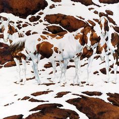 Bev Doolittle art... How many horses? Bev Doolittle Prints, Brown And White Horse, Illusion Kunst, Bev Doolittle, Hidden Art, Hidden Images, Hidden Pictures, Equine Art, Illusion Art