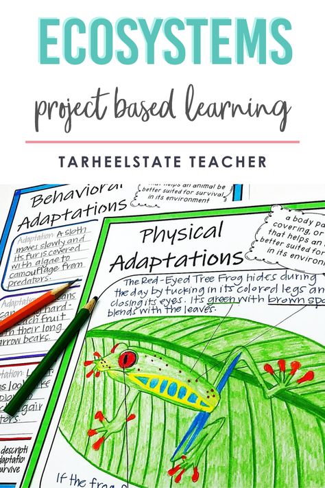 Project Based Learning Elementary, Ecosystems Projects, Pbl Projects, 7th Grade Science, High School Biology, 8th Grade Science, 4th Grade Science, 6th Grade Science, 5th Grade Science