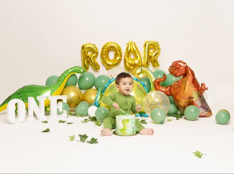 1 Year Dinosaur Pictures, Dinosaur Themed Photoshoot, Dinosaur Birthday Photo Shoot, Dinosaur One Year Birthday, Oneasaurus Birthday Party, Oneasaurus Birthday, Dinosaur Photoshoot, Dino Photoshoot, Dino Bebe