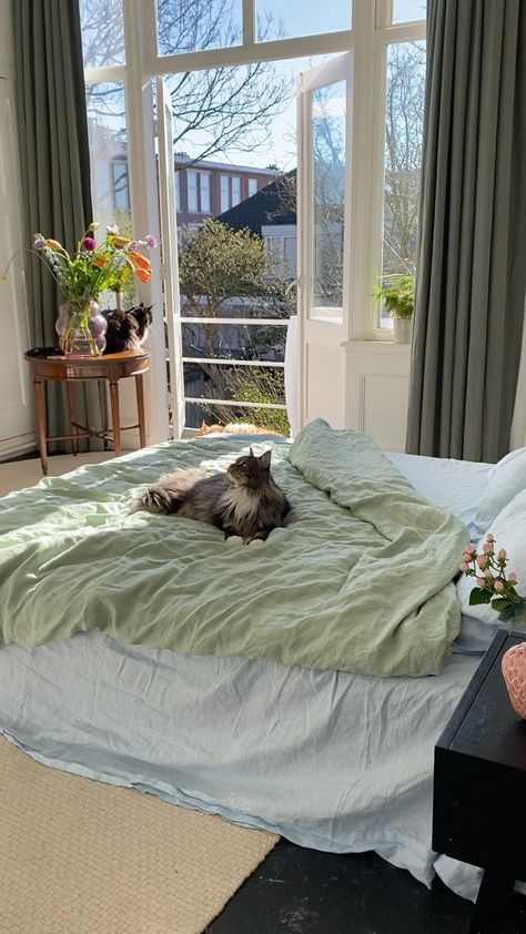 Apartment Cat, Spring Reset, Cat Bedroom, Forever In Love, Bed With Posts, Cute Apartment, Living Simply, Peaceful Moments, Nyc Apartment