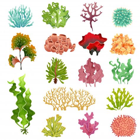 Corail et algues. flore sous-marine, alg... | Premium Vector #Freepik #vector #feuille #mer #plantes #sous-marin Seaweed Underwater, Coral And Seaweed, Plants Vector, Ocean Plants, Underwater Plants, Marine Plants, Sea Plants, Coral Art, Plant Vector