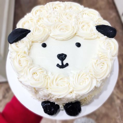 Farmers Kids get animal cakes for their birthdays. It’s a fact. #farmerkids #SweetChicsBakery #Sheep #Sheepcake #smashcake Korea Cake, Sheep Cake, Make Cupcakes, Easy Minecraft Cake, Lamb Cake, Vanilla Recipes, Amarillo Texas, 1st Birthday Cakes, Amarillo Tx