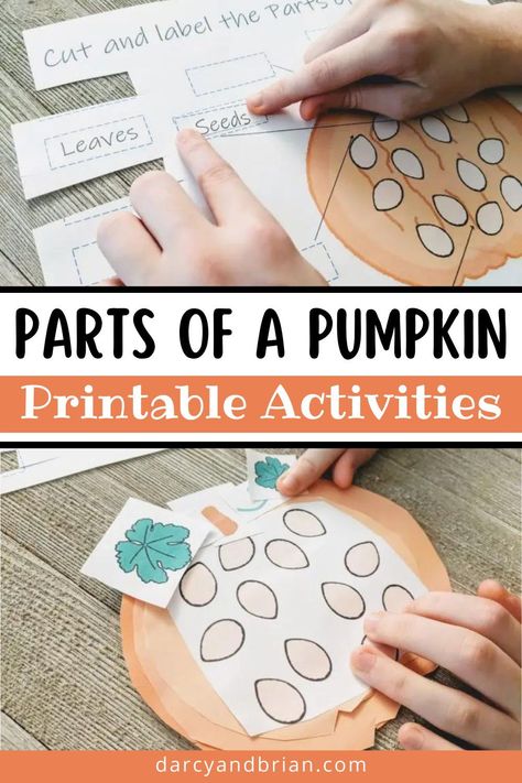 Introduce your child to the anatomy of a pumpkin with these printable activities. From identifying and labeling the different parts of a pumpkin to exploring its life cycle, this resource is perfect for incorporating some educational fun into your fall festivities. Whether you’re planning a pumpkin unit study or looking to add some Halloween or Thanksgiving-themed fun, your child will have a deeper understanding of this iconic symbol of autumn. Inside A Pumpkin Activity, Whats Inside A Pumpkin Preschool, Parts Of A Pumpkin Craft Preschool, Parts Of A Pumpkin Preschool, Pumpkin Parts Labeling, Parts Of A Pumpkin Montessori, Pumpkins Preschool, Parts Of A Pumpkin, Halloween Themed Activities