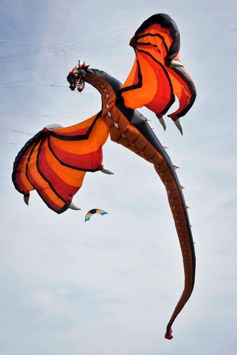 A huge dragon makes an appearance at the Bristol International Kite Festival, one of Europe’s largest kite events Dragon Activities, Kite Building, Chinese Kites, Dragon Kite, Kite Making, Kite Designs, Go Fly A Kite, Kite Festival, Fun Mail