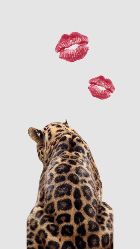 Leaped Print Wallpaper, Leopard Wallpaper Aesthetic, Vogue Wallpaper, Cheetah Wallpaper, Leopard Print Wallpaper, Cheetah Print Wallpaper, Cute Pregnancy Pictures, Beach Wall Collage, Tiger Wallpaper