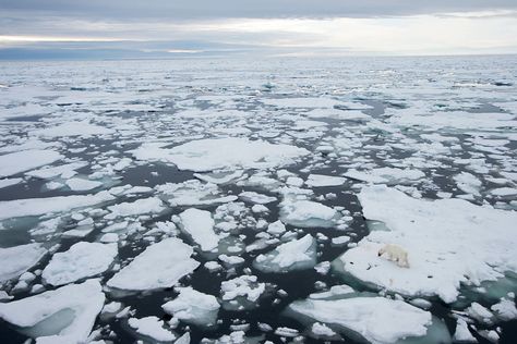 Ice Sheet, Arctic Sea, Arctic Ice, Tipping Point, Sea Ice, Bucket List Destinations, Free Summer, Polar Bears, Open Water