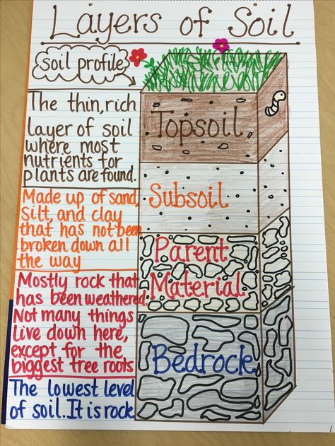 Layers of Soil Anchor Chart Soil Anchor Chart, Elementary Anchor Charts, Science Activities For Elementary, Layers Of Soil, Biology Teaching, Grade 3 Science, Science Anchor Charts, 4th Grade Science, 6th Grade Science