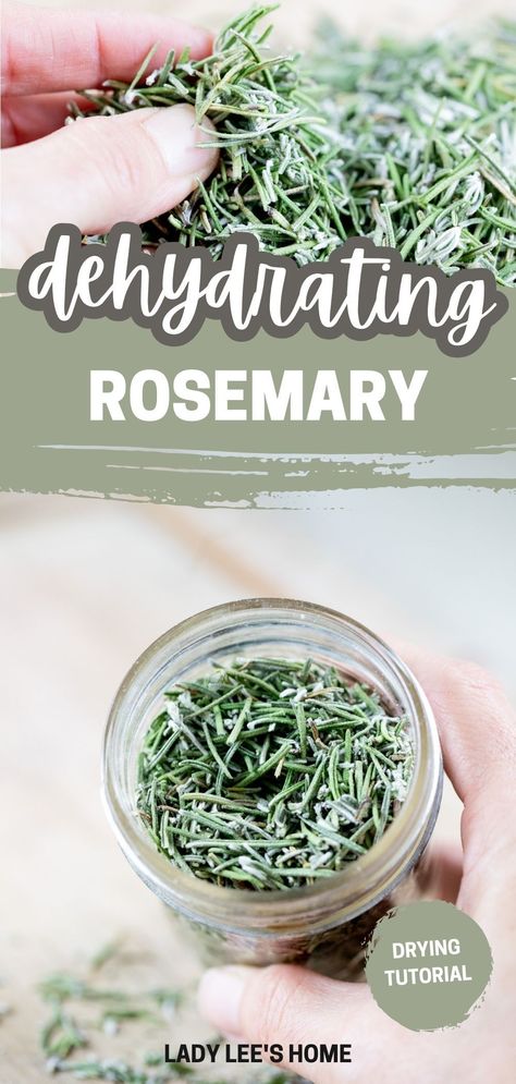 Learn how to dry rosemary using different methods, ensuring it's always ready for use. Preserve Rosemary, Dehydrated Herbs, Dry Rosemary, Seasoning Shelf, Drying Fresh Herbs, Potato Chip Recipes, Herb Storage, Kitchen Notes, Dehydrated Fruit