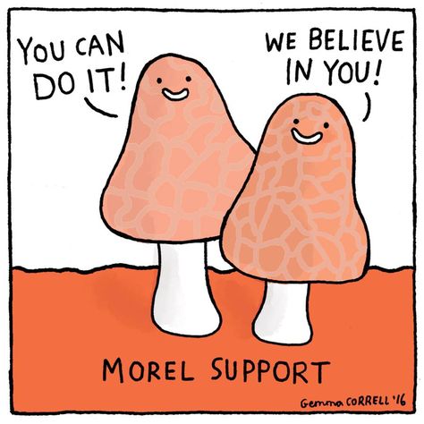 Morel support Gemma Correll, Puns, You Can Do, Do It, Instagram Post, Funny, On Instagram, Instagram