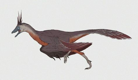 ArtStation - Archeopteryx, Bartosz Winkler Dino Art, Paleo Art, Animals, Art