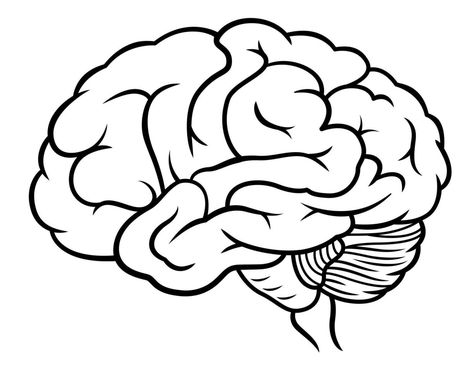 Drawing Of The Brain, Brain Doodle Easy, Easy Brain Drawing, Brain Sketch Simple, Psychology Drawing Illustrations, Drawing A Brain, How To Draw A Brain, Brains Drawing, Brain Drawing Creative