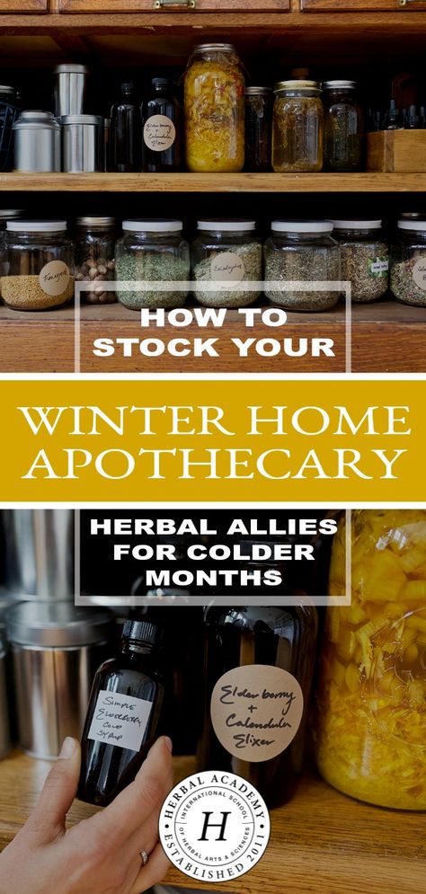 Home Apothecary, Herbal Academy, Natural Medicine Cabinet, Herbal Recipes, Herbal Apothecary, Natural Healing Remedies, Herbal Healing, Winter Home, Homemade Remedies