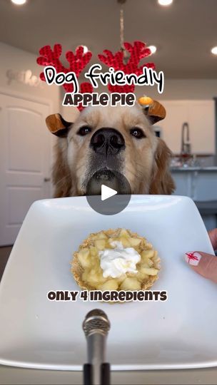 Apple Pie For Dogs, Greek Yogurt Pie, Mic Asmr, Yogurt Pie, Pie Crust Top, Unsweetened Applesauce, Mini Pies, Vegetarian Food, Plain Greek Yogurt