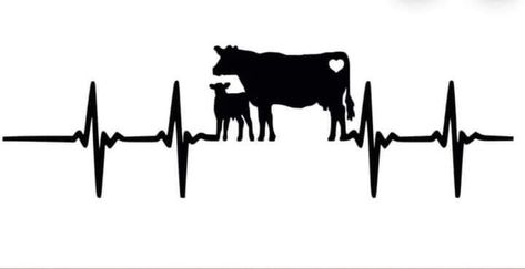 Cow Heartbeat Tattoo, Cattle Barn, Cow Tattoo, Heartbeat Tattoo, Wood Burning Crafts, Calf Tattoo, Cow Calf, Dairy Cows, Grey Tattoo