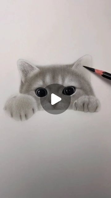 Cute Cat Sketch Easy, Sketch Of Cat, Cute Drawings Of Animals, Cat Pencil Drawing, Cat Drawing Sketches, Drawing Of Cat, Drawings Of Cats, How To Draw Cats, Cat Sketches