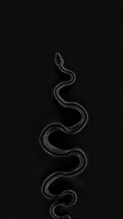 Rep Wallpapers, Insta Background, Reputation Aesthetic, Slytherin Wallpaper, Homescreen Idea, Wallpaper Profile, Snake Wallpaper, Y2k Background, Taylor Pics