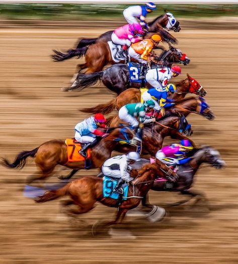 Kentucky Derby Decorations, Secretariat Horse, Kentucky Art, Horse Knowledge, Racing Horse, Race Photography, American Pharoah, Derby Horse, The Great Race