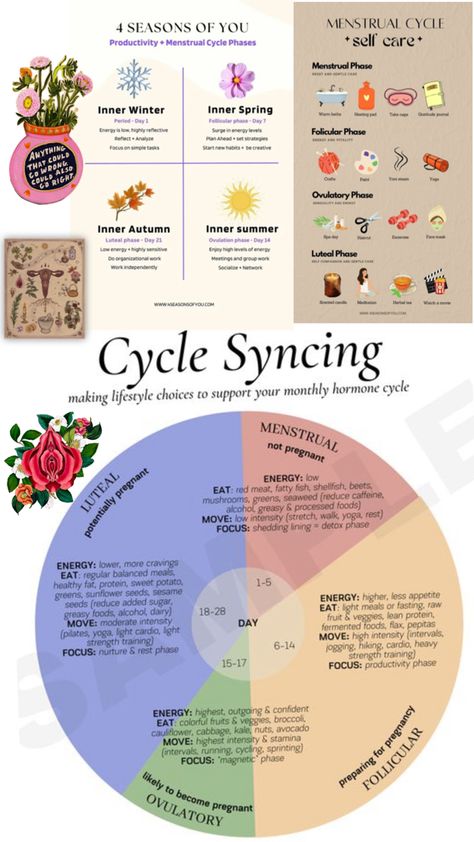 Learning Your Cycle, Womans Cycle Chart, Cycle Synching, Menstrual Cycle Phases, Period Cycle, Woman Tips, Cycle Syncing, Menstrual Period, Highly Sensitive