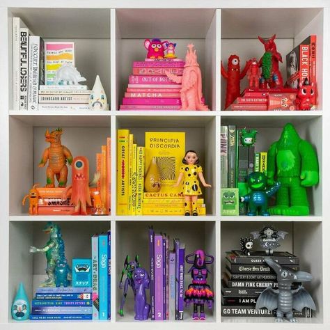 Rainbow Bookshelf, Bedroom Rainbow, Toy Collection Display, Beautiful Bookshelf, Buy My House, Mini Library, Bookshelf Organization, Library Room, Buy Books