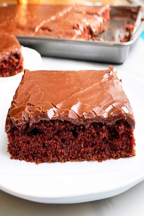 Easy Texas sheet cake recipe from scratch, homemade with simple ingredients. Soft chocolate cake is paired with warm poured chocolate icing or glaze that slightly hardens when set. Made in a jelly roll pan or half sheet pan. This is a great treat to bring to your next potluck! It truly is a crowd favorite! Don't have much time before you need to head out the door? No problem. This recipe has you covered. From start to finish, it will be done in 30 minutes. If you love this chocolate delight, ... Easy Texas Sheet Cake Recipe, Soft Chocolate Cake, Texas Chocolate Sheet Cake, Chocolate Sheet Cake Recipe, Cake Recipe From Scratch, Texas Sheet Cake Recipe, Half Sheet Cake, Cinnamon Roll Icing, Sheet Cake Recipe