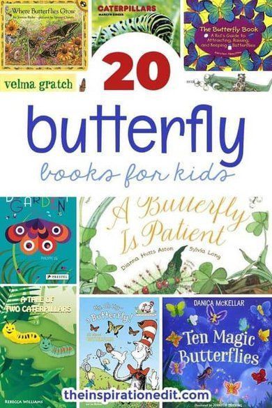 About Butterflies, Butterflies Activities, Homeschool Projects, Butterfly Books, Butterfly Life Cycle, Preschool Books, Alphabet Book, Butterfly Crafts, Books For Kids