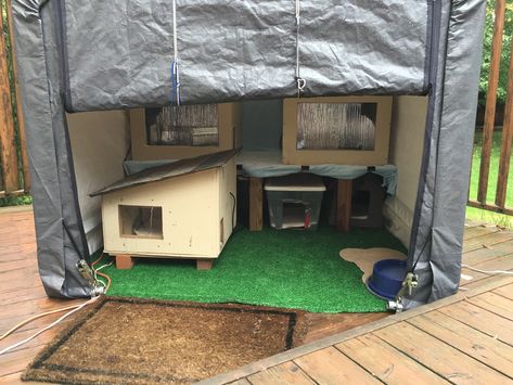 Shelters | Feral Cat Tails Outdoor Cat Shelter Diy, Outside Cat Shelter, Cat Shelters For Winter, Outside Cat House, Outdoor Cat Shelter, Feral Cat Shelter, Feral Cat House, Cat Feeding Station, Cat Area