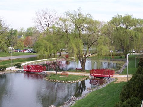 Beautiful ponds and bridges accent Shenandoah University in Virginia. www.su.edu #shenandoah @shenandoah Stonybrook University, Beautiful Ponds, Shenandoah University, College Survival Guide, University Aesthetic, Winchester Va, College Survival, Architecture Images, Shenandoah Valley