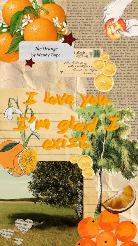 #theorange #wendycope #oranges #poems #vinatge #wallpaper #nature #laufey #quotes #love #iloveyou Orange Poem, Poem Background, Wendy Cope, Wallpaper Nature, Never Forget You, Body Love, Quotes Love, Making Mistakes, Phone Wallpaper