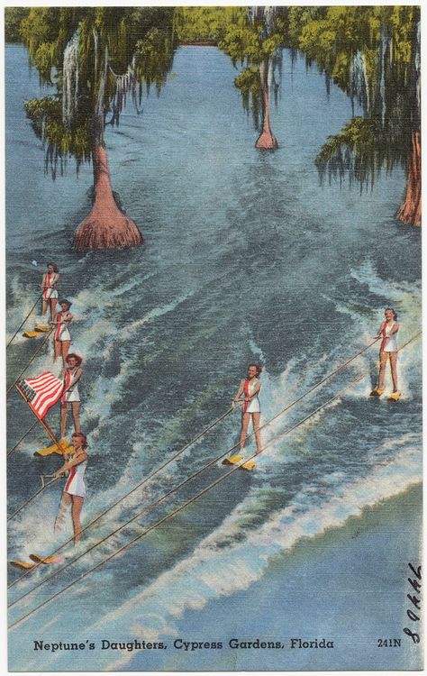 Cypress Gardens Florida, Retro Florida, Florida Vacation Spots, Vintage Road Trip, Florida Postcard, Florida Images, Cypress Gardens, Florida Attractions, Florida History