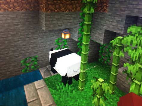 Who Doesn’t Love Pandas!?❤️ Minecraft Panda, Panda Habitat, T Love, Habitat, Minecraft, Pandas