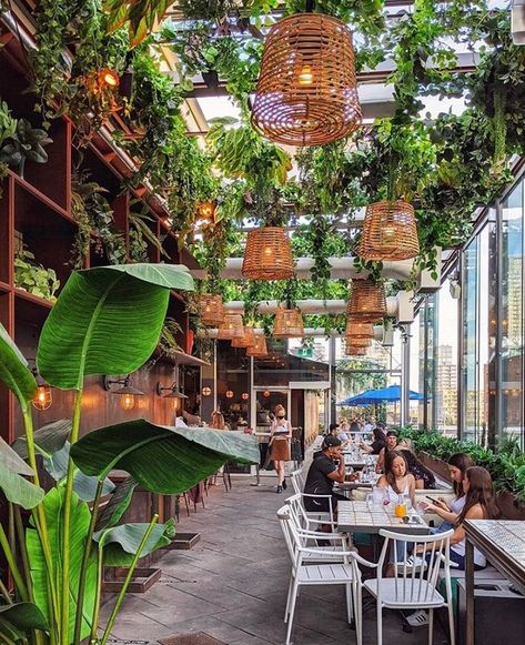 Restaurant With Plants, Greenhouse Restaurant, Outdoor Restaurant Patio, Greenhouse Cafe, Roof Terrace Design, Rooftop Venue, Latin Culture, Outdoor Restaurant Design, Restaurant Patio