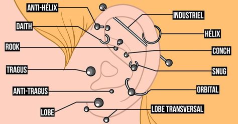 Piercing Anti Tragus, Anti Helix Piercing, Piercing Orbital, Orbital Piercing, Types Of Ear Piercings, Anti Tragus, Piercing Tragus, Types Of Piercings, Clip Hairstyles