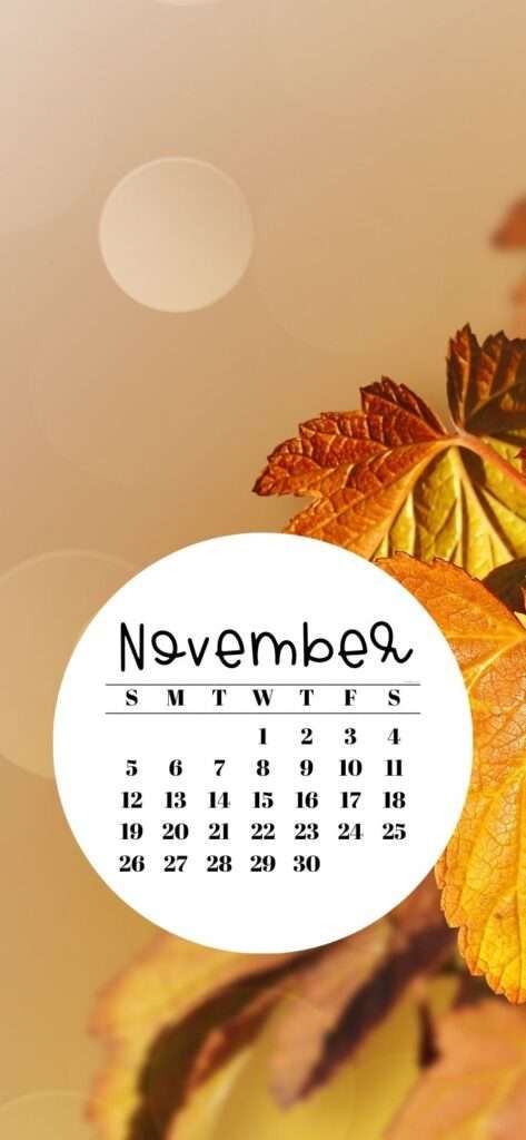 Background November, Iphone Wallpaper November, November Backgrounds, Aesthetic November, Adorable Aesthetic, Roman Calendar, Satin Background, December Wallpaper, November Wallpaper