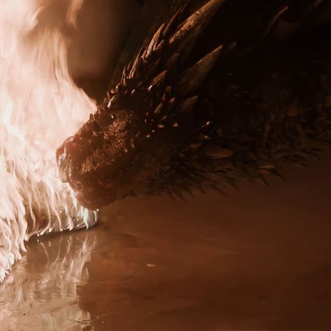 Brown Dragon, Hotd Dragons, Got Dragons, Dragon Dance, Targaryen Aesthetic, Game Of Thrones Art, House Targaryen, Game Of Thrones Houses, In Another Life