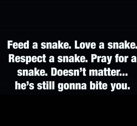 Sneaky Snake Quotes, A Snake Is Still A Snake Quote, Quotes For Snake People, Snakes Don't Hiss Anymore Quotes, Quotes About People Being Snakes, You Showed Me Your True Colors, A Snake Is A Snake Quote, Sneaky People Quotes Relationships, People Are Snakes Quotes