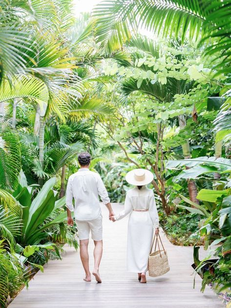 ⁣ Caribbean Voyage, Tender Escapade⁣ ⁣ In the serene embrace of our tropical garden, nature's beauty creates a spellbinding haven, where… | Instagram Tropical Garden, Nature Beauty, Family Photos, Lush, Hotel, In This Moment, Beauty, Instagram, Nature