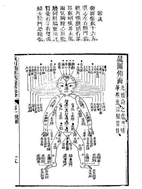 Ancient Dim Mak diagram Dim Mak, Chinese Meridian Chart, Wing Chun Training, Aikido Belt Rank, Muay Thai Training, Martial Arts Styles, Martial Arts Techniques, Zombie Survival, Wing Chun