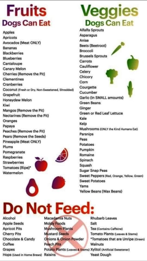 Freezable Dog Food, Dog Safe Fruits And Veggies, Fruits And Veggies For Dogs, Dogs Can Eat List, Healthy Snacks For Puppies, Lick Mats For Dogs Recipe, Home Made Dog Food Recipes, Dog Food Ideas, Human Food For Dogs