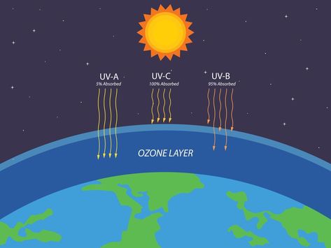 Protection Of Ozone Layer Poster, Ultraviolet Radiation, Ozone Layer, Science Illustration, Poster Ideas, Ecology, Ultra Violet, Image Search, Vector Art