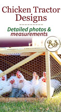 Portable Chicken Run, Backyard Chicken Coop Diy, Chicken Coop Designs Diy, Urban Chicken Farming, Meat Birds, Portable Chicken Coop, Chicken Tractors, Tractor Idea, Diy Chicken Coop Plans