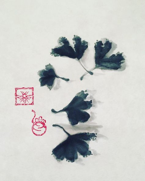 Breathe And Paint ⛩ on Instagram: “Ginkgo Practice 🎋⛩🔘🙏🏼🖌 #zenpainting #sumie #ginkgo #meditation #breatheinbreatheout #inkwash #inkpainting #leaves #emptiness #aimlessness…” Inkwash Paintings, Zen Painting, Ink Wash, Breath In Breath Out, Sumi E, Ink Painting, Maple Leaf Tattoo, Meditation, Paintings