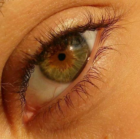 Dark Hazel Eyes, Pretty Eyes Color, Hazel Green Eyes, Beautiful Eyes Color, Hazel Green, Almond Eyes, Eye Pictures, Eye Photography, Aesthetic Eyes